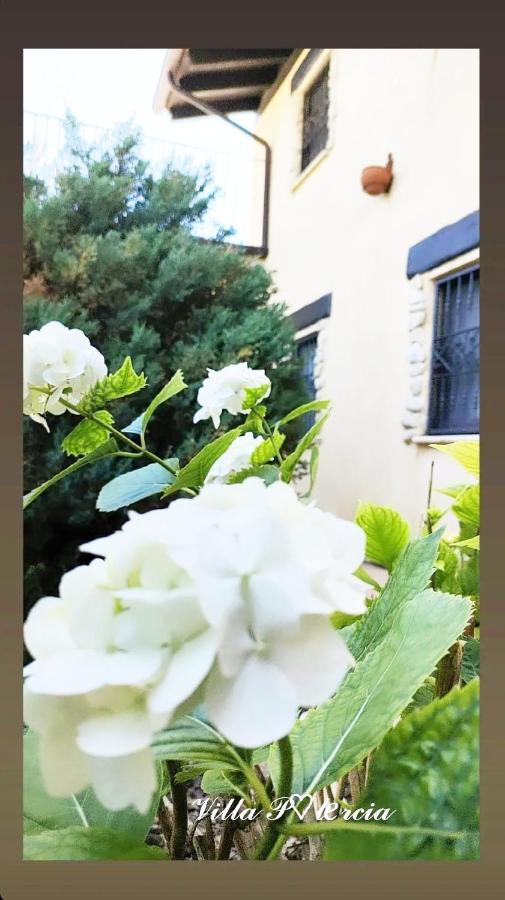Villa Polercia Cupello Dış mekan fotoğraf